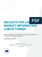 Tunisia Big Data Lmi Analysis 2020 Web