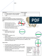 Gineco 1 - Anatomía del aparato Genital femenino