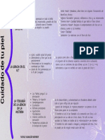 Mapa Conceptual Cuadro Sinóptico