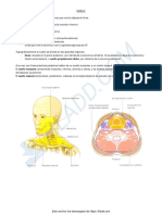 1 Cuello Visceral PDF