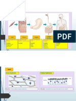 1.4 Cells, Tissues and Organs