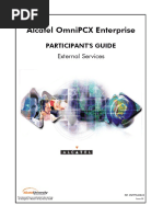 External Services PDF