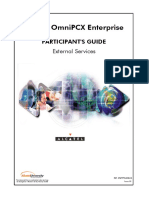 External Services PDF