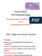 Aula Prática Dermatopatologia, 3 Ano MED, 2023 PDF