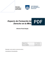 EFI Derechos en La Mira, Informe Final