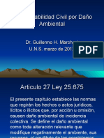 Resposabilidad Civil Daño Ambiental 1