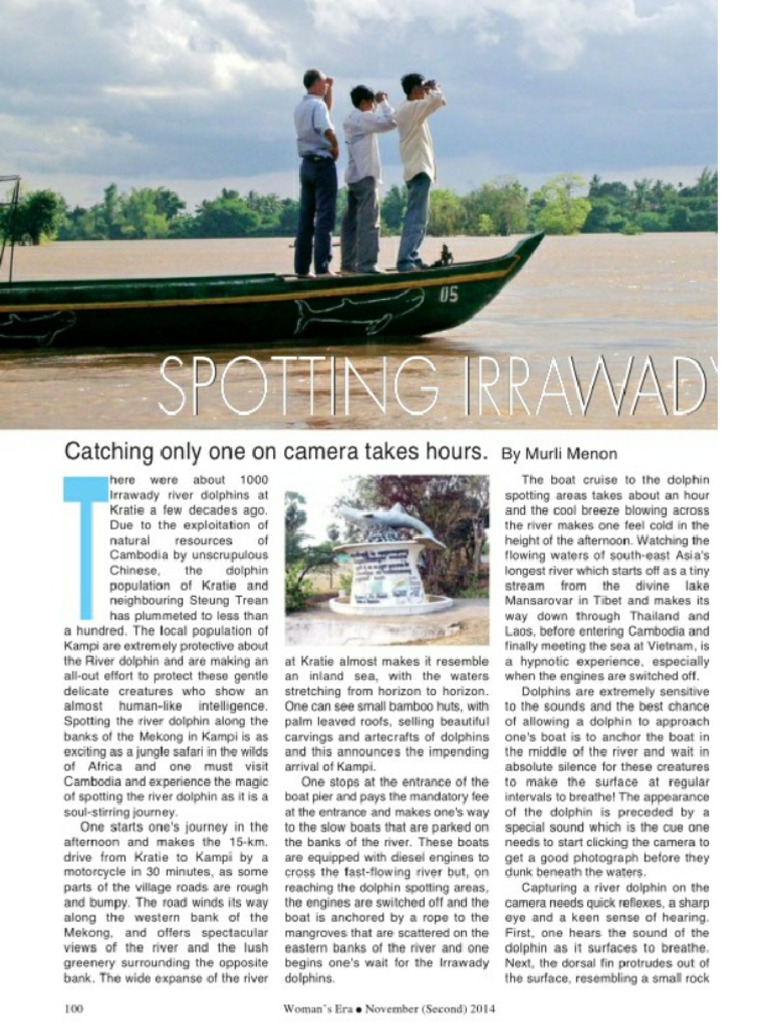 Dolphin intelligence overview