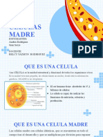 BIOLOGIA EXPOSICION de Celulas Madre