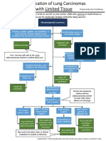 Classification of Lung Carcinomas with Limited Tissue