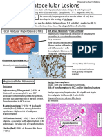Liver - Tumors2 PDF
