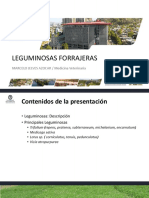07 Leguminosas PDF