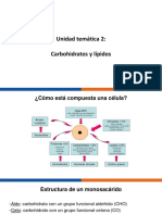 Unidad Temática 2 - Carbohidratos y Lípidos PDF
