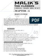 Root System PDF