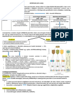 PDF Dokumentum PDF