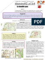 Fondamento 14 Bis PDF