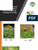 Plantes À Fleurs de Prokletije Et Hajla PDF
