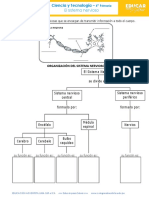 Ficha 1 Ciencia y Ambiente