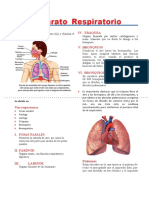 Ficha Ciencia 2