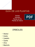 Guía de Las Plantas