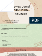 Review Jurnal Dipylidiumcaninum