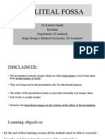Lecture On Popliteal Fossa PDF