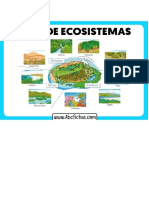 Ecología