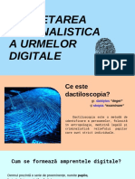 Urme Digitale