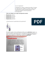 Cómo funciona la respiración y sus tipos