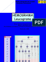 4 Hemograma Leucograma