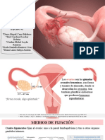 Anatomía de Ovario