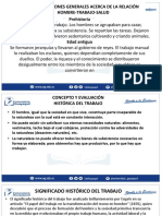 Unido Salud Ocupacional 2p PDF