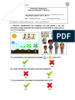 Eval. Diag. Ciencias 1°