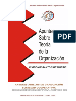 Vdocuments - MX - Apuntes Sobre Teoria de La Organizacinpdf PDF