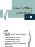 Anatomie Schelet Coloana Vertebrala