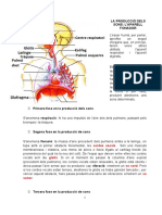 Fonetica. Teoria11