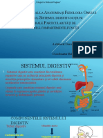 anatomia sist. digestiv(2)
