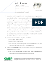 Prótesis de Cadera de Permedica PDF