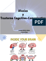 Afasia y TCC: Clasificación y manifestaciones