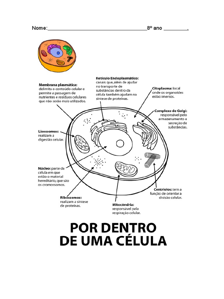 atividade-c-lula-inclus-o-pdf