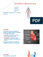 Estructuras de Sistema Cardiovascular