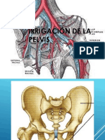 Irrigación vascular de la pelvis menor