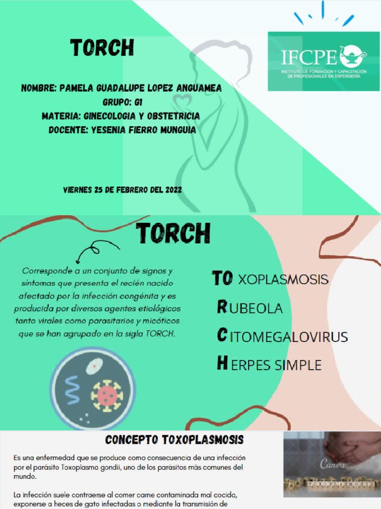 TORCH PDF
