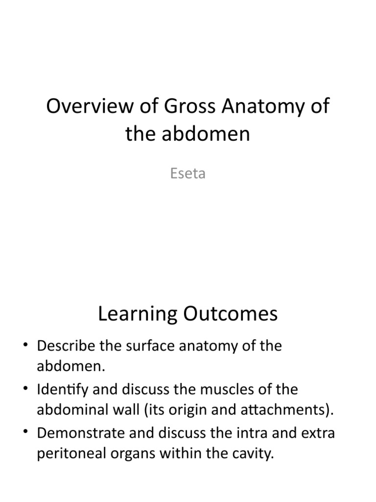 Abdominal Anatomy Overview | PDF | Abdomen | Peritoneum