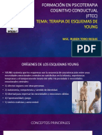 Terapia de Esquemas de Young. 2021. Tcc.