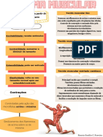 Mapa Mental - 4 Sistema Muscular