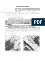 Prelungiri Permanente Ale Celulelor PDF