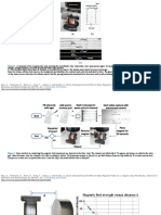 Behavioral Response of Nematodes To Static Magnetic Fields