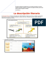 Lengua Castellana Semana 8 Sebastian PDF