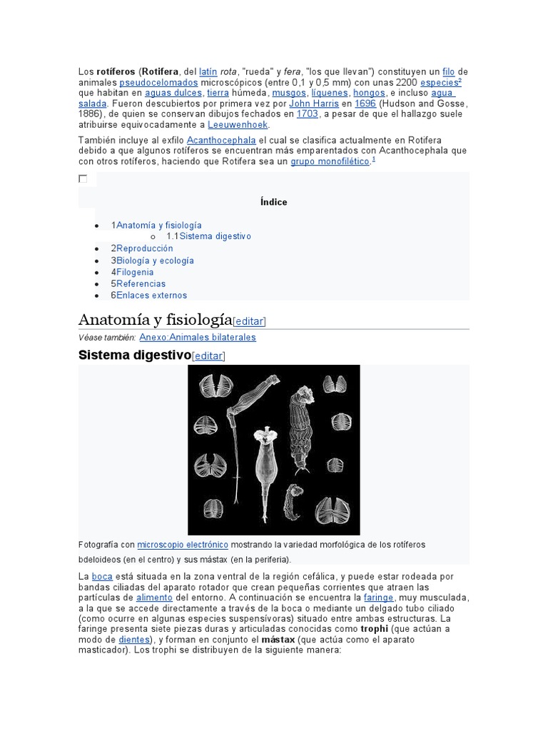 Introducción a los Rotíferos | PDF | Biología | Taxa