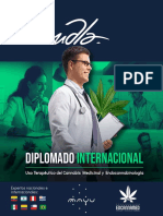 Brochure Diplomado VFinal 2023 PDF